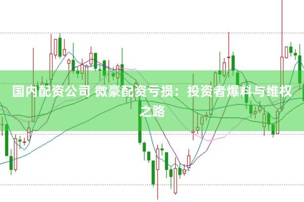 国内配资公司 微豪配资亏损：投资者爆料与维权之路