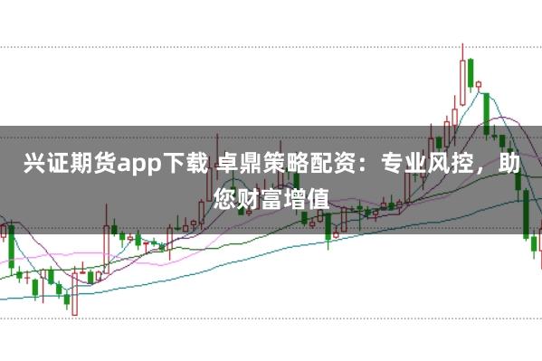 兴证期货app下载 卓鼎策略配资：专业风控，助您财富增值
