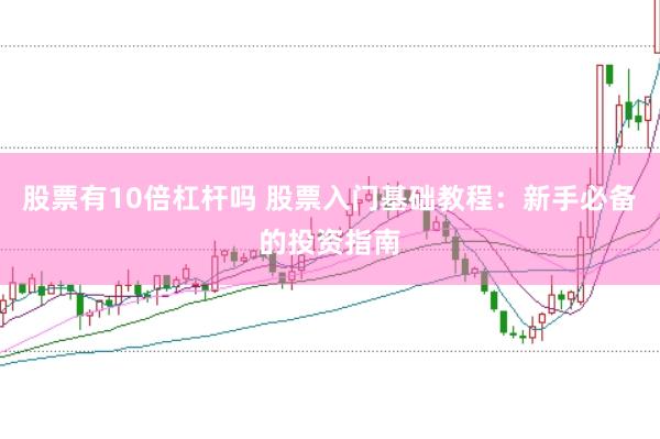 股票有10倍杠杆吗 股票入门基础教程：新手必备的投资指南