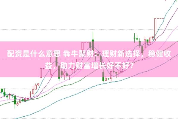 配资是什么意思 犇牛聚财：理财新选择，稳健收益，助力财富增长好不好？