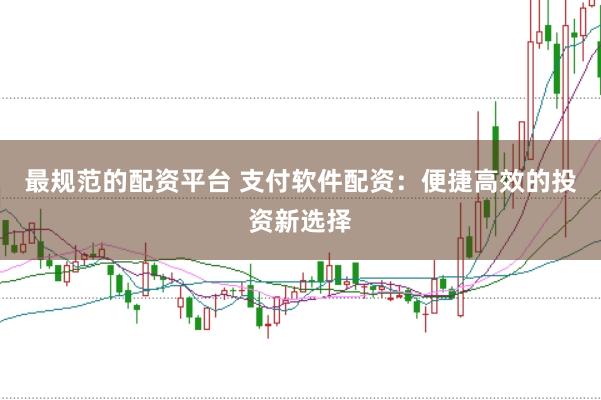 最规范的配资平台 支付软件配资：便捷高效的投资新选择