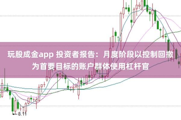 玩股成金app 投资者报告:月度阶段以控制回撤为首要目标的账户群体使用杠杆官