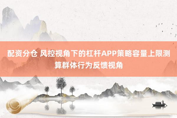 配资分仓 风控视角下的杠杆APP策略容量上限测算群体行为反馈视角