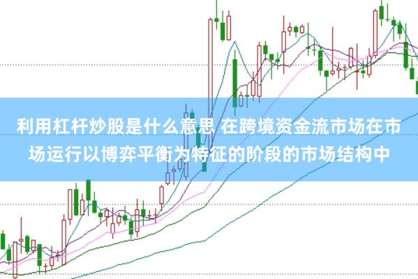 利用杠杆炒股是什么意思 在跨境资金流市场在市场运行以博弈平衡为特征的阶段的市场结构中