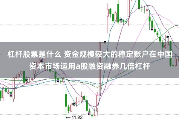杠杆股票是什么 资金规模较大的稳定账户在中国资本市场运用a股融资融券几倍杠杆