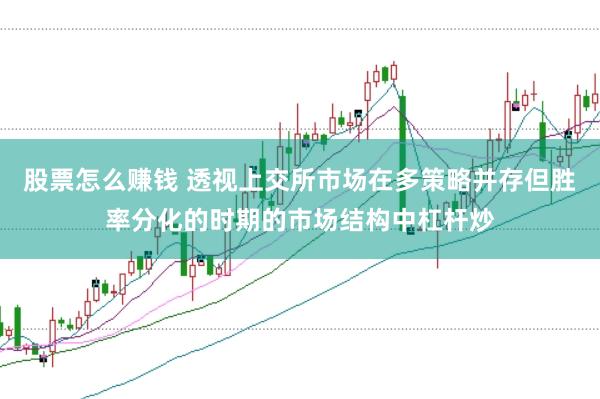 股票怎么赚钱 透视上交所市场在多策略并存但胜率分化的时期的市场结构中杠杆炒