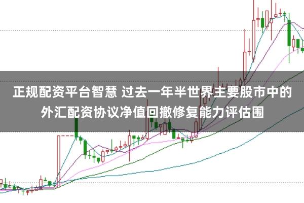 正规配资平台智慧 过去一年半世界主要股市中的外汇配资协议净值回撤修复能力评估围