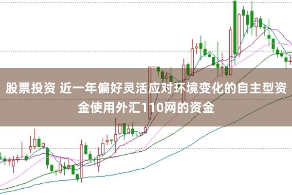 股票投资 近一年偏好灵活应对环境变化的自主型资金使用外汇110网的资金