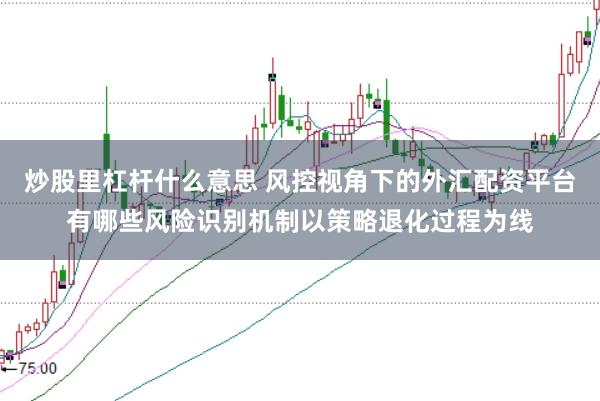 炒股里杠杆什么意思 风控视角下的外汇配资平台有哪些风险识别机制以策略退化过程为线