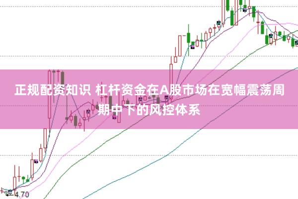正规配资知识 杠杆资金在A股市场在宽幅震荡周期中下的风控体系