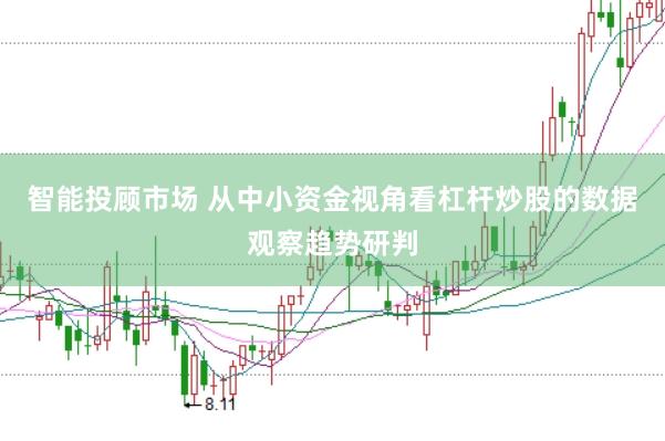 智能投顾市场 从中小资金视角看杠杆炒股的数据观察趋势研判