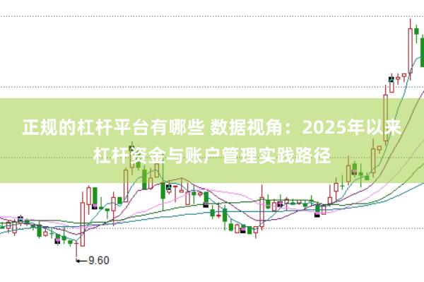 正规的杠杆平台有哪些 数据视角：2025年以来杠杆资金与账户管理实践路径