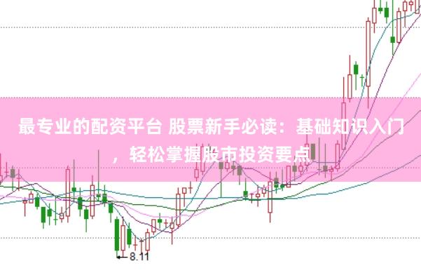 最专业的配资平台 股票新手必读：基础知识入门，轻松掌握股市投资要点