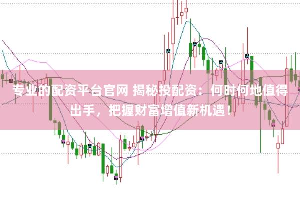 专业的配资平台官网 揭秘投配资：何时何地值得出手，把握财富增值新机遇！
