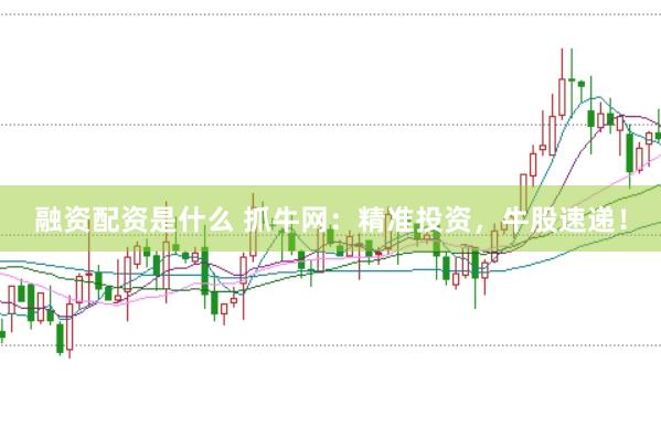 融资配资是什么 抓牛网：精准投资，牛股速递！