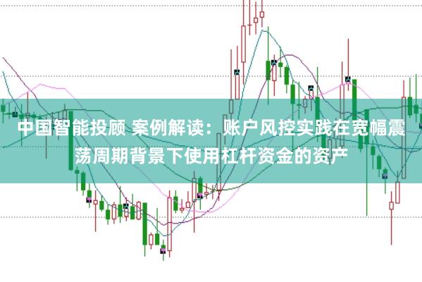 中国智能投顾 案例解读：账户风控实践在宽幅震荡周期背景下使用杠杆资金的资产