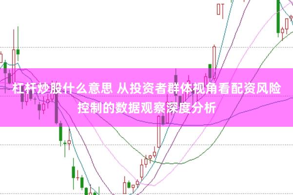 杠杆炒股什么意思 从投资者群体视角看配资风险控制的数据观察深度分析