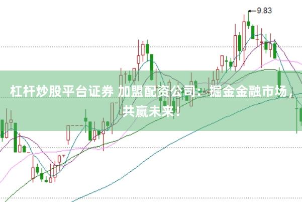杠杆炒股平台证券 加盟配资公司：掘金金融市场，共赢未来！