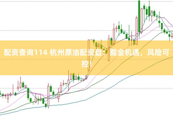 配资查询114 杭州原油配资盘：掘金机遇，风险可控！