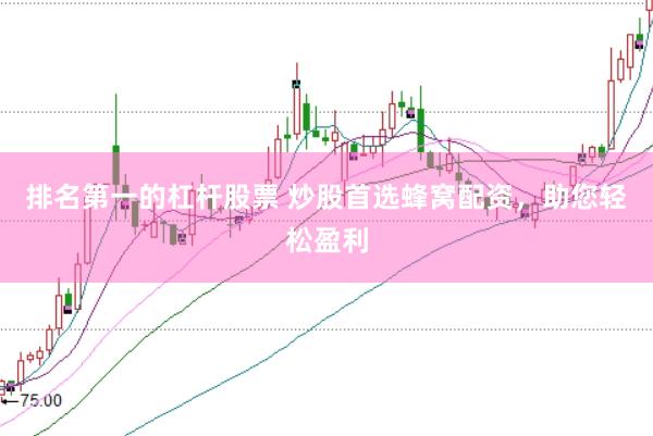 排名第一的杠杆股票 炒股首选蜂窝配资，助您轻松盈利