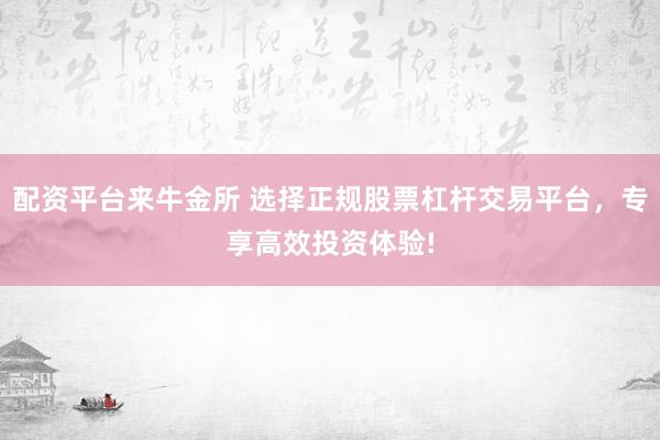 配资平台来牛金所 选择正规股票杠杆交易平台，专享高效投资体验!