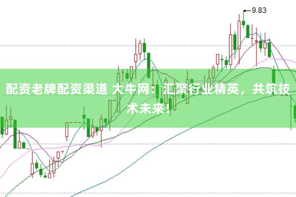 配资老牌配资渠道 大牛网：汇聚行业精英，共筑技术未来！